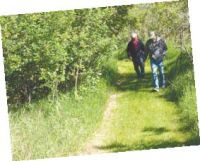 hiking.jpg Image