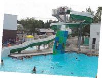 swimming.jpg Image